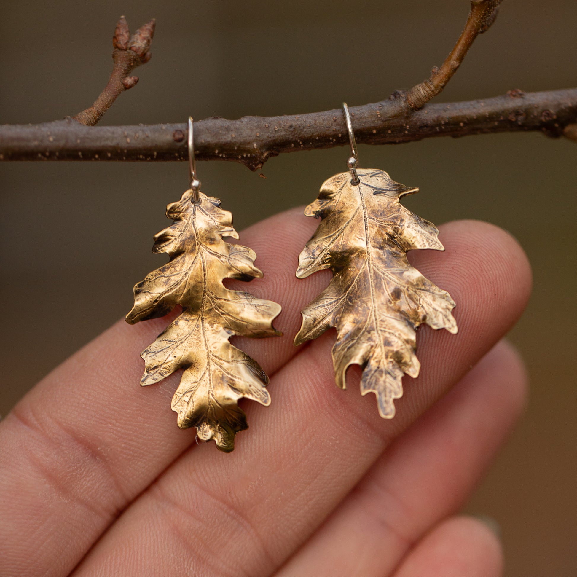 Brass gold colored oak leaf earrings hanging on a branch with a blurred natural background