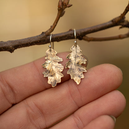 Brass gold colored oak leaf earrings held between fingers with a blurred natural background