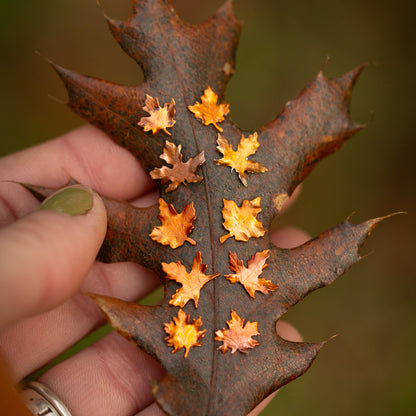 Hand holding a brown oak leaf with small orange copper maple leaf stud earrings attached, against a blurred natural background.