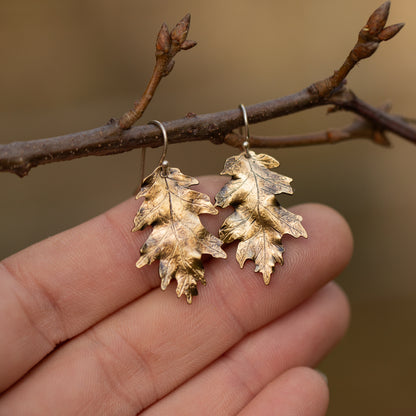 Brass gold colored oak leaf earrings held on a branch with a blurred background