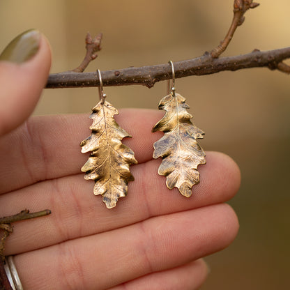 Brass gold colored oak leaf earrings hanging on a branch with a blurred natural background
