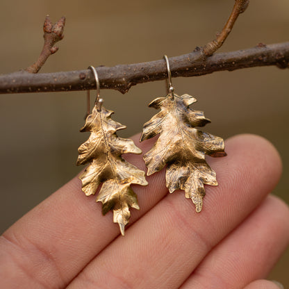 Brass gold colored oak leaf earrings hanging on a branch with a blurred natural background