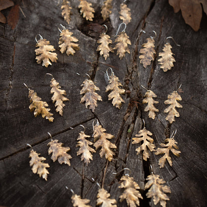 Set of brass oak leaf-shaped earrings on a wooden surface with leaves around