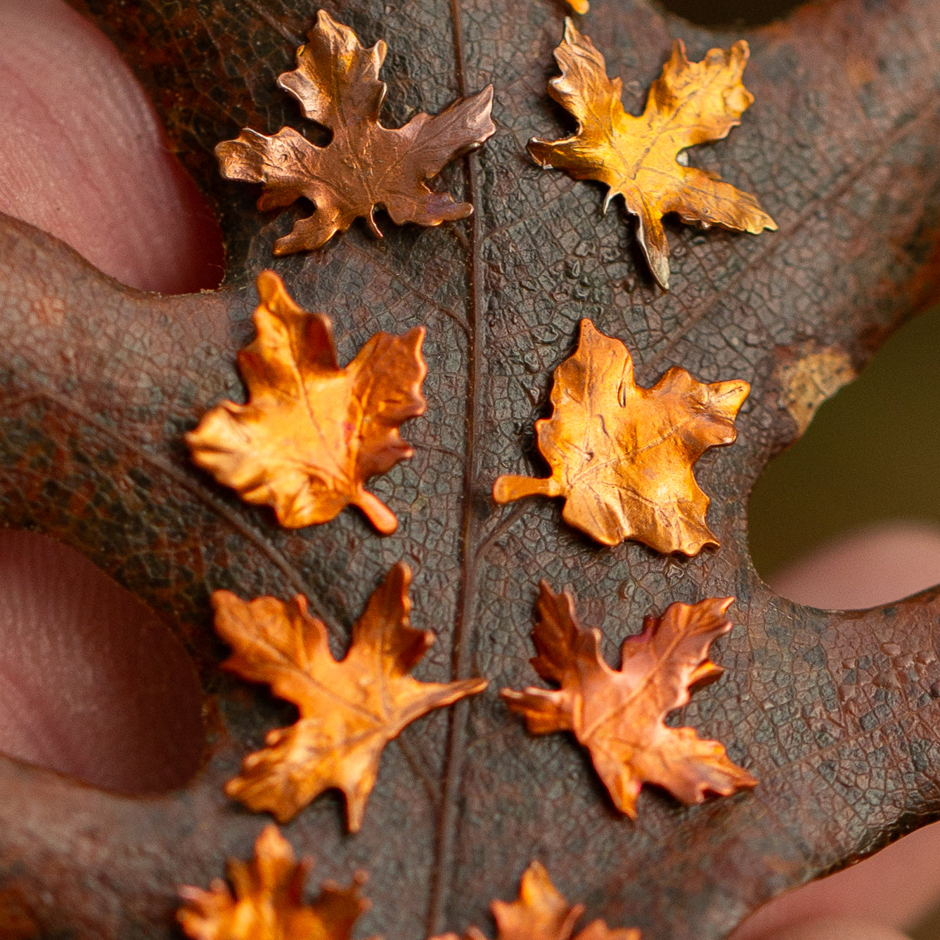 Autumn Leaf Stud Earrings in Copper and Brass